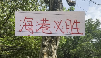 前有奇塔 现有奥斯卡 海港旧将也喜欢度假途径母队|上海海港|奇塔迪尼|足协杯|奥斯卡-罗梅罗|足协_新浪体育_新浪新闻